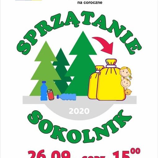 Sprzątanie sokolnik
