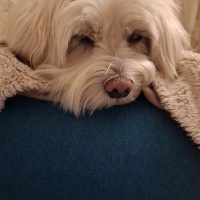 Thumbnail for the listing's main image